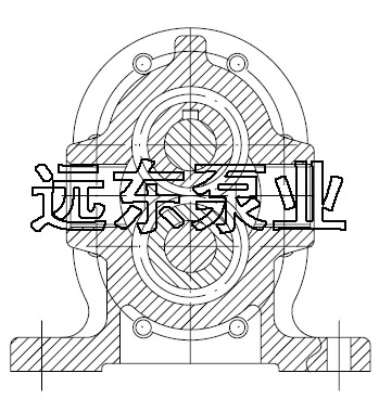2CY0.6齒輪泵