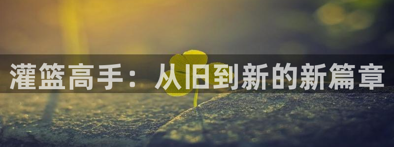 羞羞漫画 汗汗漫画：灌篮高手：从旧到新的新篇章