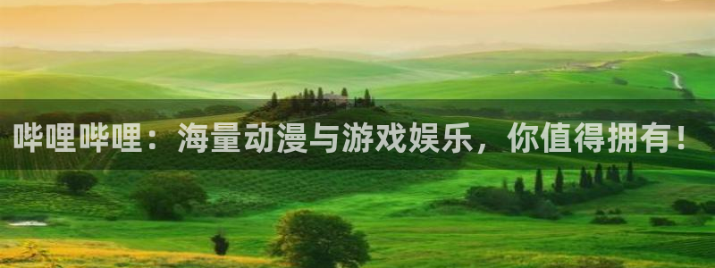 www..com羞羞漫画：哔哩哔哩：海量动漫与游戏娱乐，你值得拥有！